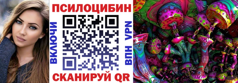 Галлюциногенные грибы Psilocybe  Ладушкин 
